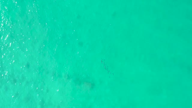 LOS FRALIES LOS CABOS BCS MEXICO-2021: Turquoise Ocean Surface with Gentle Waves