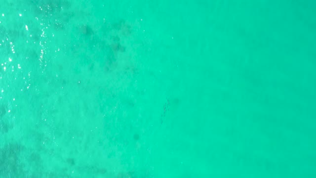 LOS FRALIES LOS CABOS BCS MEXICO-2021: Person Swimming in Clear Turquoise Ocean Water