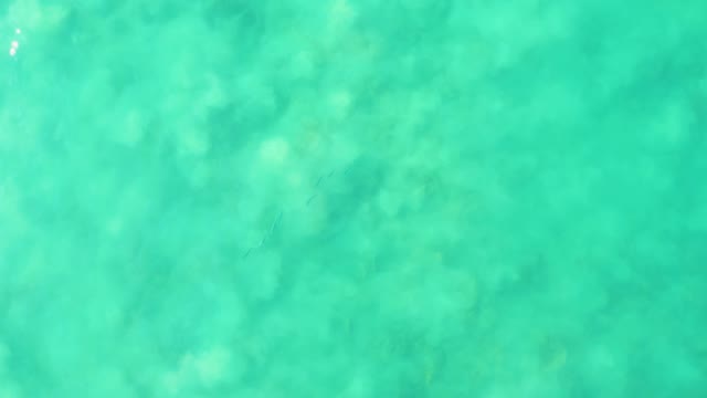 LOS FRALIES LOS CABOS BCS MEXICO-2021: Clear Turquoise Ocean Water with Gentle Ripples and Coral