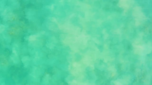 LOS FRALIES LOS CABOS BCS MEXICO-2021: Shallow Turquoise Water with Visible Coral Formations