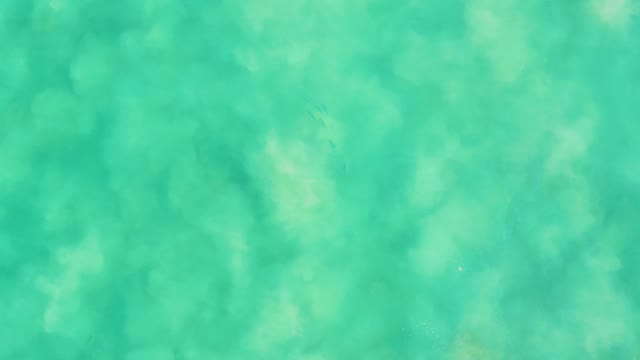 LOS FRALIES LOS CABOS BCS MEXICO-2021: Shallow Ocean Water with Visible Sandy Bottom