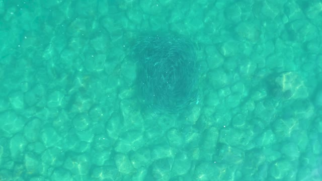 LOS FRALIES LOS CABOS BCS MEXICO-2021: Fading Shadow in Clear Pool Water