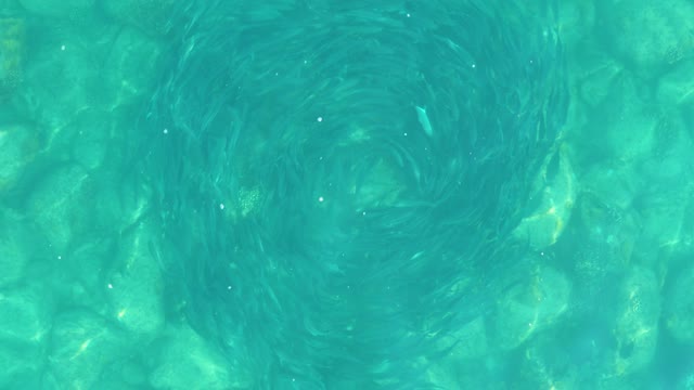 LOS FRALIES LOS CABOS BCS MEXICO-2021: Overhead View of Swimming Pool Water Vortex