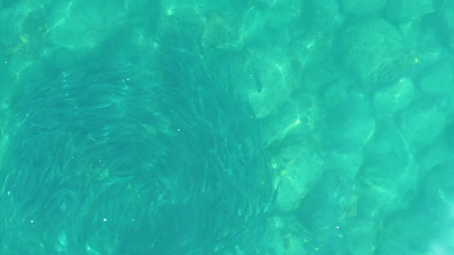 LOS FRALIES LOS CABOS BCS MEXICO-2021: Rippling Clear Water Over Rocky Bottom