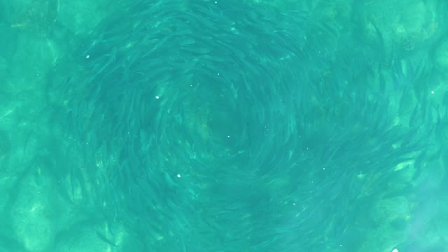 LOS FRALIES LOS CABOS BCS MEXICO-2021: Underwater Vortex in Clear Turquoise Water