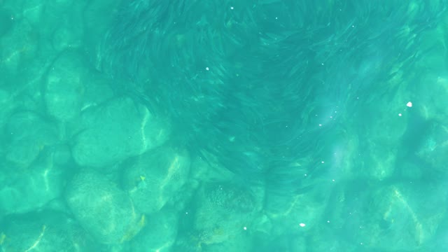 LOS FRALIES LOS CABOS BCS MEXICO-2021: Shallow Turquoise Water with Rocky Bottom and Swirling Ripples