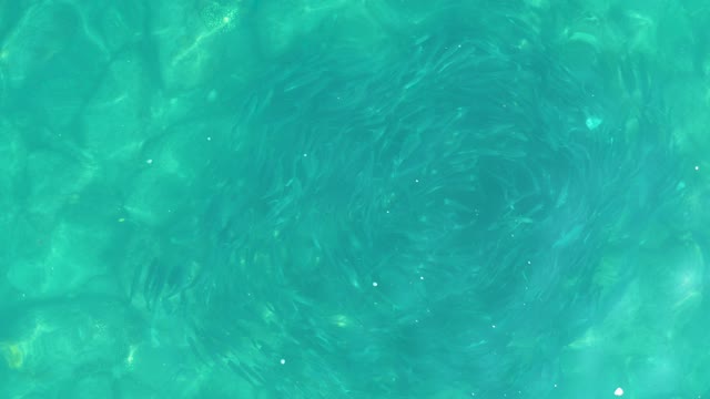 LOS FRALIES LOS CABOS BCS MEXICO-2021: Rippling Clear Pool Water with Light Patterns