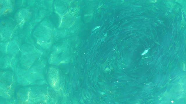 LOS FRALIES LOS CABOS BCS MEXICO-2021: Water Vortex in Shallow Clear Turquoise Water