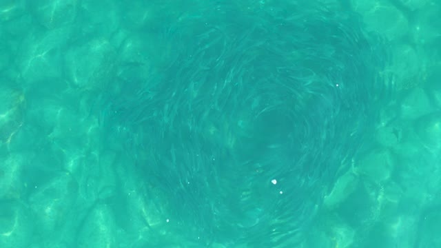 LOS FRALIES LOS CABOS BCS MEXICO-2021: Shallow Clear Water with Circular Current Pattern