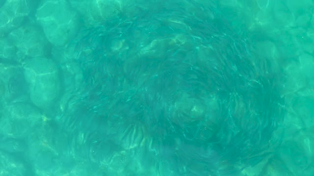 LOS FRALIES LOS CABOS BCS MEXICO-2021: Circular Water Current in Clear Turquoise Pool
