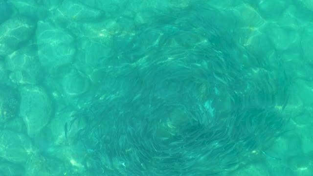 LOS FRALIES LOS CABOS BCS MEXICO-2021: Rippling Clear Turquoise Pool Water Surface