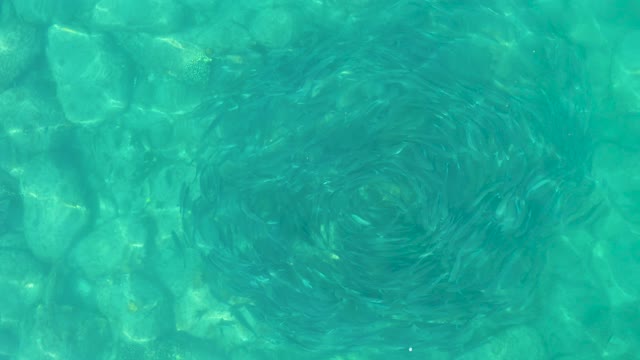LOS FRALIES LOS CABOS BCS MEXICO-2021: Clear Turquoise Water Swirling in a Vortex
