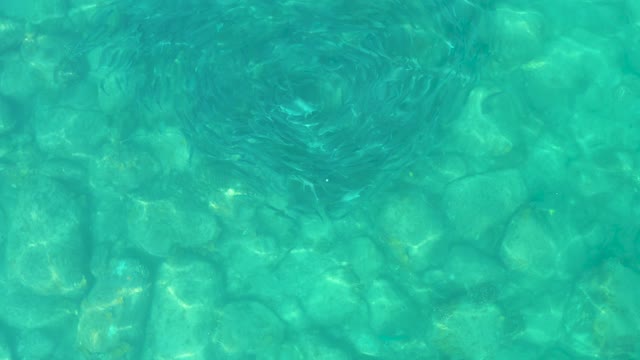 LOS FRALIES LOS CABOS BCS MEXICO-2021: School of Small Fish Swirling in Clear Turquoise Water