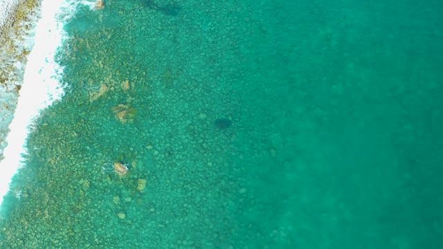 LOS FRALIES LOS CABOS BCS MEXICO-2021: Gentle Waves and Clear Turquoise Water at Rocky Shore
