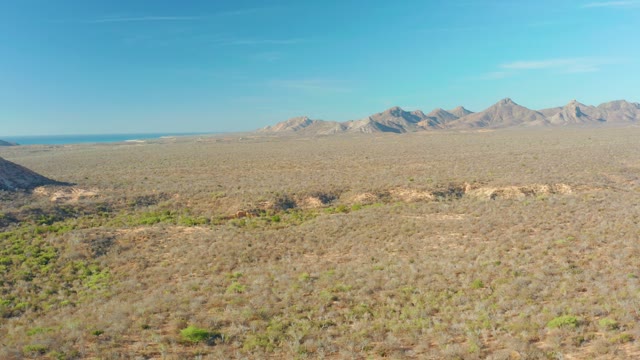 CABO PULMO BCS MEXICO-2021: Desert Landscape with Distant Mountains and Sparse Vegetation
