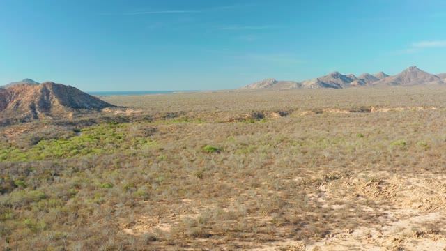 CABO PULMO BCS MEXICO-2021: Desert Landscape with Sparse Vegetation and Mountain Backdrop