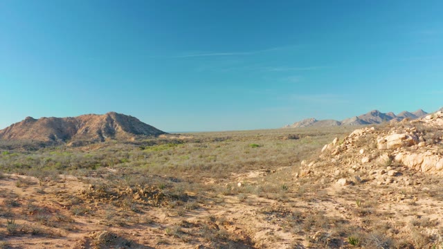 CABO PULMO BCS MEXICO-2021: Cactus in Desert with Distant Mountain Range