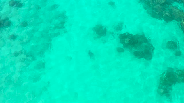 CABO PULMO BCS MEXICO-2021: Underwater Rocks in Clear Turquoise Water