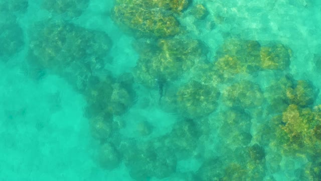 Clear Turquoise Water Over Rocky Seabed with Gentle Ripples
