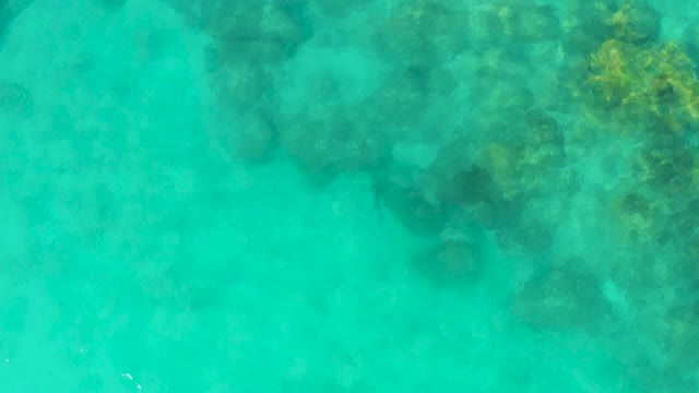 Underwater Coral and Rocks Through Crystal Clear Water
