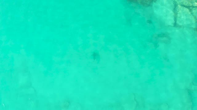 Clear Turquoise Water Over Seabed Rocks