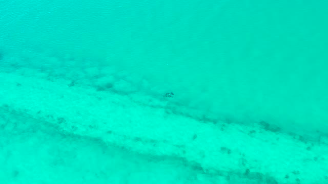 Small Fish Swimming Over Sandy Ocean Floor