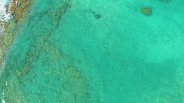 Clear Turquoise Ocean Over Coral Reefs and Shoreline