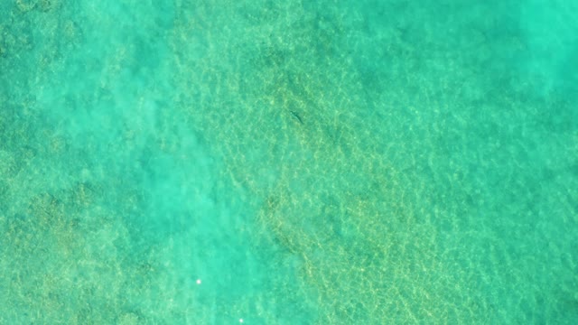 Gentle Ripples on Shallow Turquoise Seabed