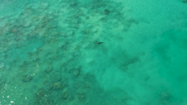 Person Swimming in Clear Turquoise Ocean Water