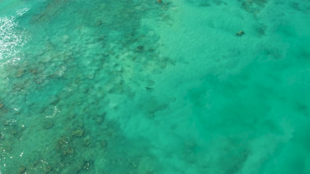 Swimmer in Clear Turquoise Ocean Waters