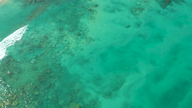Turquoise Ocean Surface with Visible Coral and Gentle Waves
