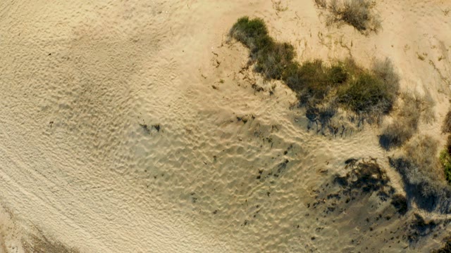 Vehicles Moving Across Sandy Desert Terrain