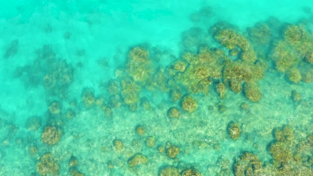 Coral Formations Under Crystal Clear Water