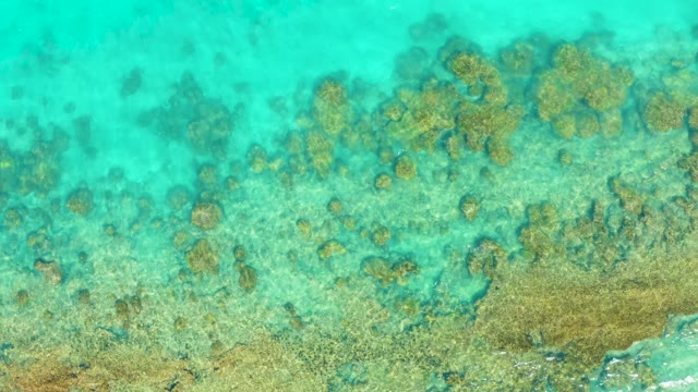 Overhead View of Turquoise Ocean and Coral Reefs