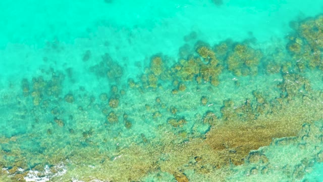 Gentle Wave Motion over Coral Reef in Clear Turquoise Water