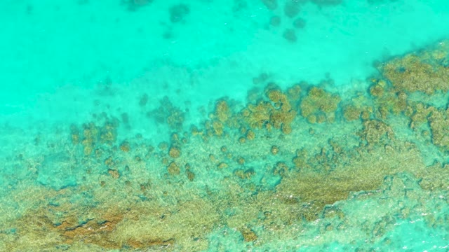 Coral Reefs and Small Fish in Shallow Turquoise Water