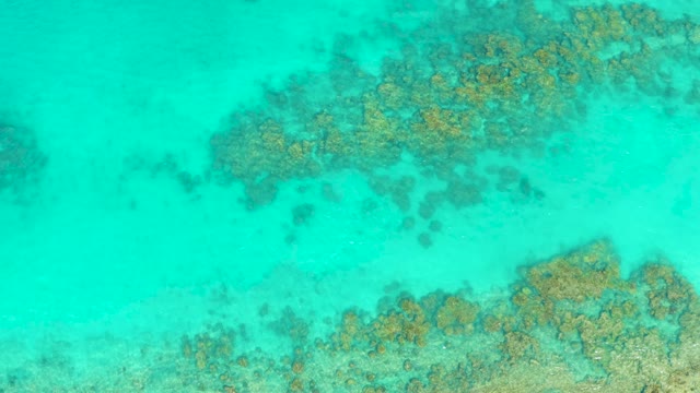 Coral Reefs in Clear Turquoise Ocean Waters