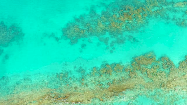 Coral Formations Visible Through Clear Turquoise Water