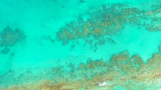 Coral Reefs Visible in Shallow Turquoise Ocean