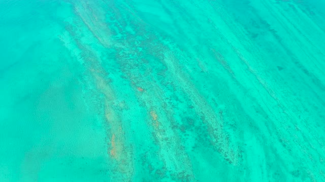 Shallow Turquoise Ocean with Visible Seabed