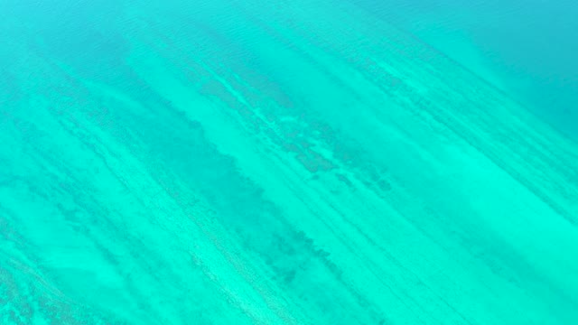 Underwater Coral Reef in Clear Turquoise Water