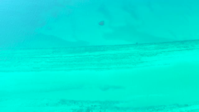 Underwater View of Clear Turquoise Water and Sandy Seabed