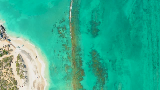 Beachgoers on Sandy Shore with Clear Turquoise Ocean