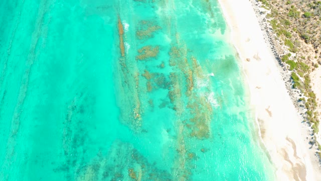 CABO PULMO BCS MEXICO-2021: Clear Turquoise Water Meets White Sandy Beach