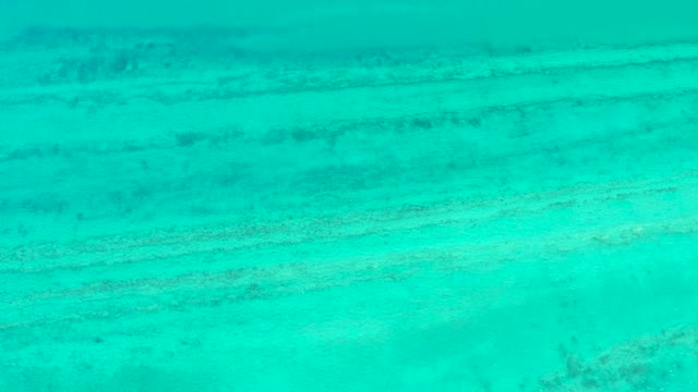 CABO PULMO BCS MEXICO-2021: Clear Turquoise Water Over Seabed Formations