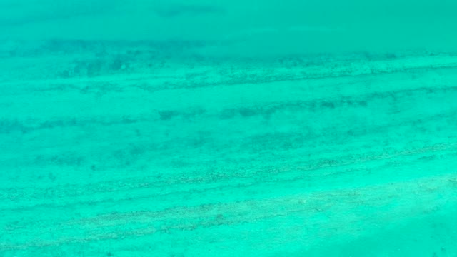 CABO PULMO BCS MEXICO-2021: Underwater View of Clear Turquoise Ocean Floor with Ridges