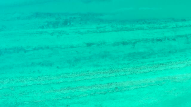 CABO PULMO BCS MEXICO-2021: Clear Turquoise Water Revealing Ocean Floor Patterns