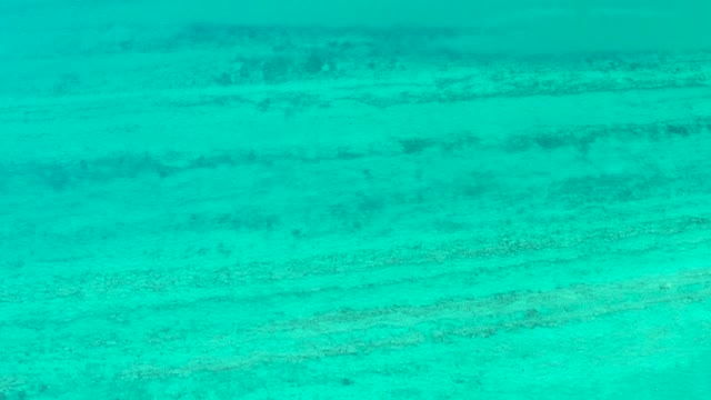 CABO PULMO BCS MEXICO-2021: Turquoise Water Over Seabed with Dark Formations