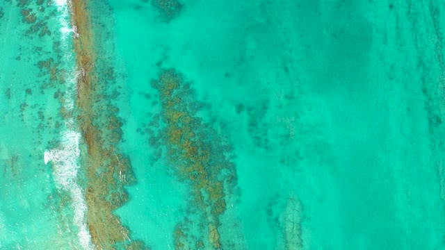 CABO PULMO BCS MEXICO-2021: Waves Moving Along Sandy Shore From Above