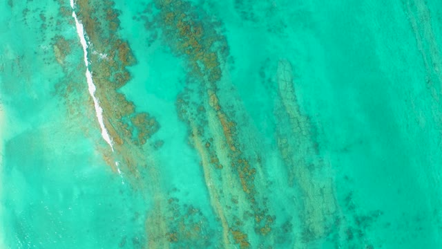 CABO PULMO BCS MEXICO-2021: Coral Reef and Shifting Water Current in Turquoise Sea